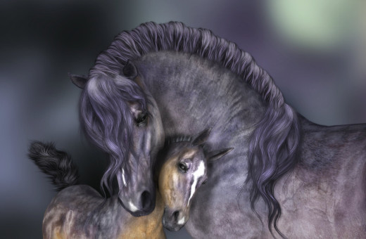 671908 (a): :1690x1102